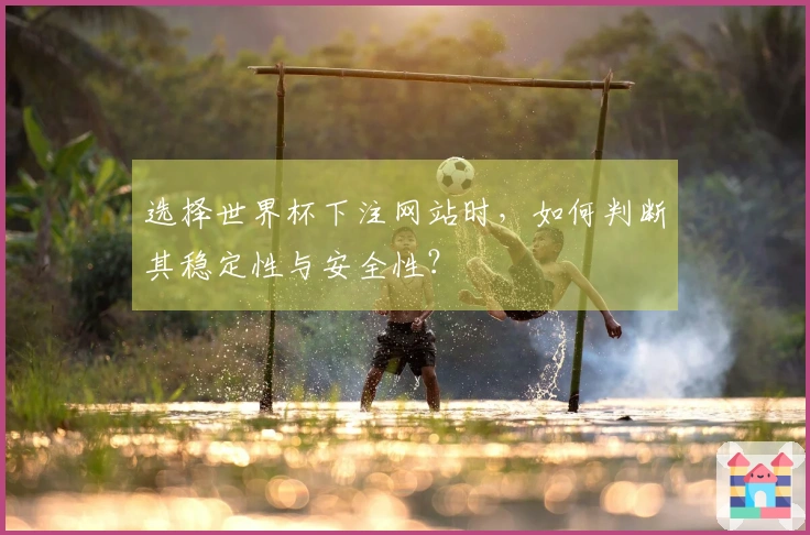 选择世界杯下注网站时，如何判断其稳定性与安全性？
