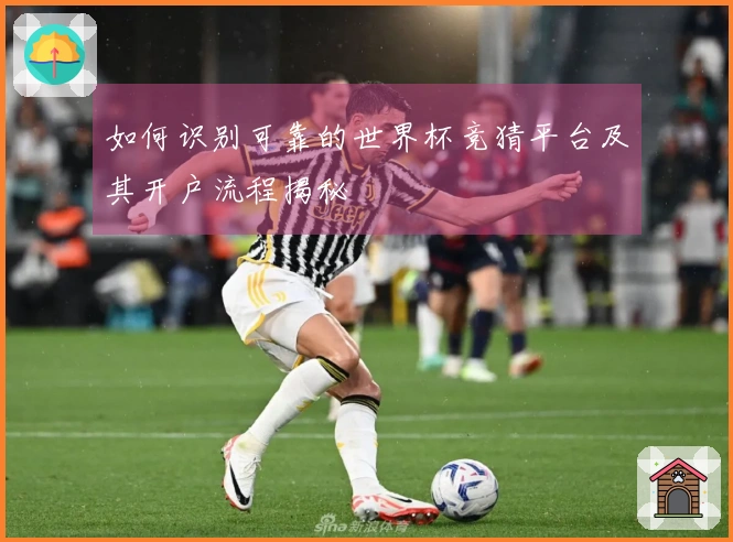 如何识别可靠的世界杯竞猜平台及其开户流程揭秘
