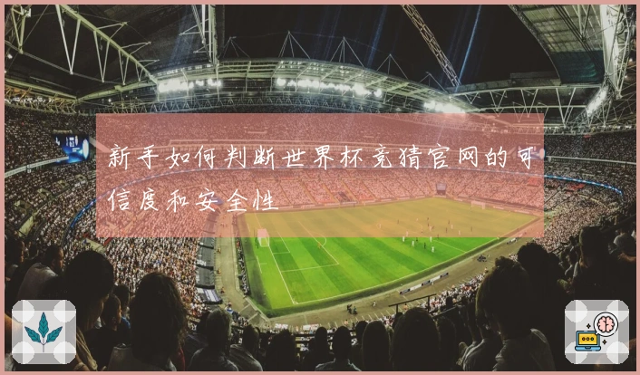 新手如何判断世界杯竞猜官网的可信度和安全性