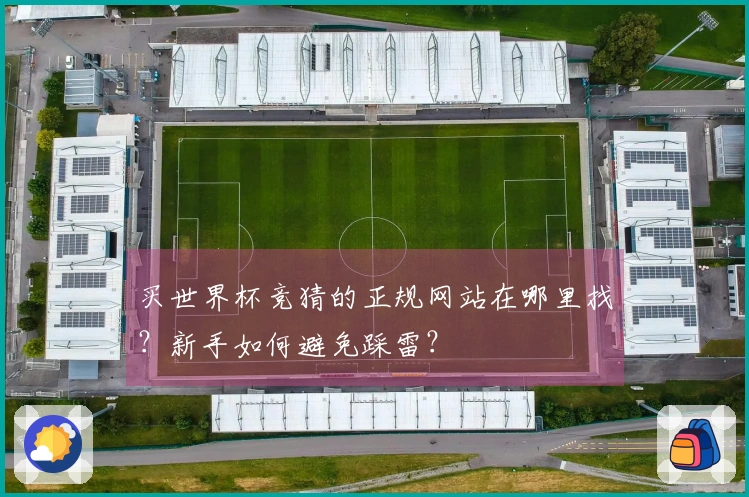 买世界杯竞猜的正规网站在哪里找？新手如何避免踩雷？