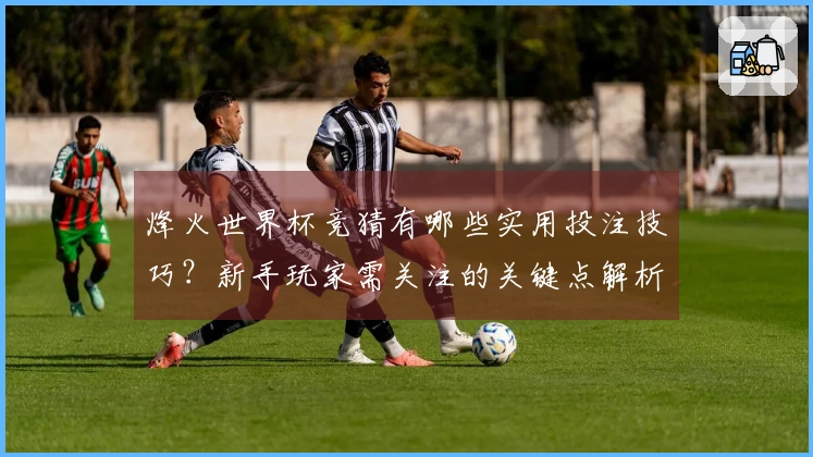 烽火世界杯竞猜有哪些实用投注技巧？新手玩家需关注的关键点解析