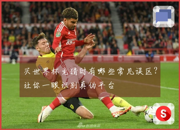 买世界杯竞猜时有哪些常见误区？让你一眼识别真伪平台