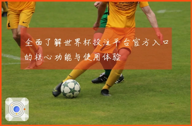 全面了解世界杯投注平台官方入口的核心功能与使用体验