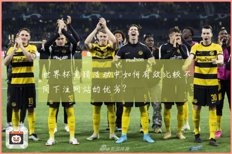 世界杯竞猜活动中如何有效比较不同下注网站的优劣?