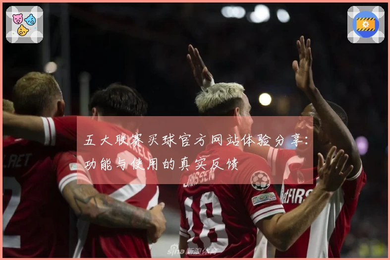 五大联赛买球官方网站体验分享：功能与使用的真实反馈